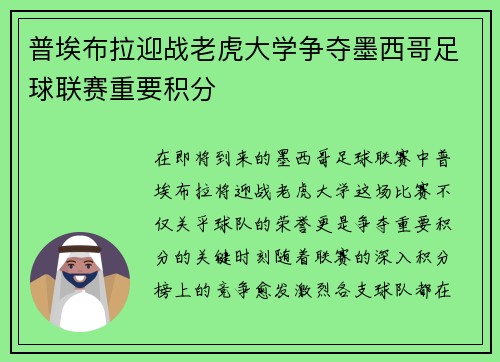 普埃布拉迎战老虎大学争夺墨西哥足球联赛重要积分