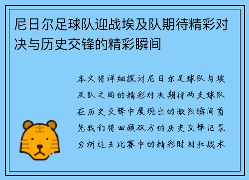 尼日尔足球队迎战埃及队期待精彩对决与历史交锋的精彩瞬间