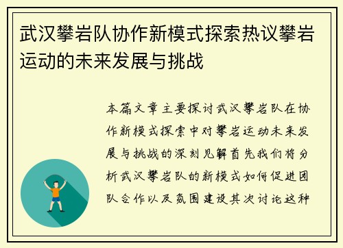武汉攀岩队协作新模式探索热议攀岩运动的未来发展与挑战
